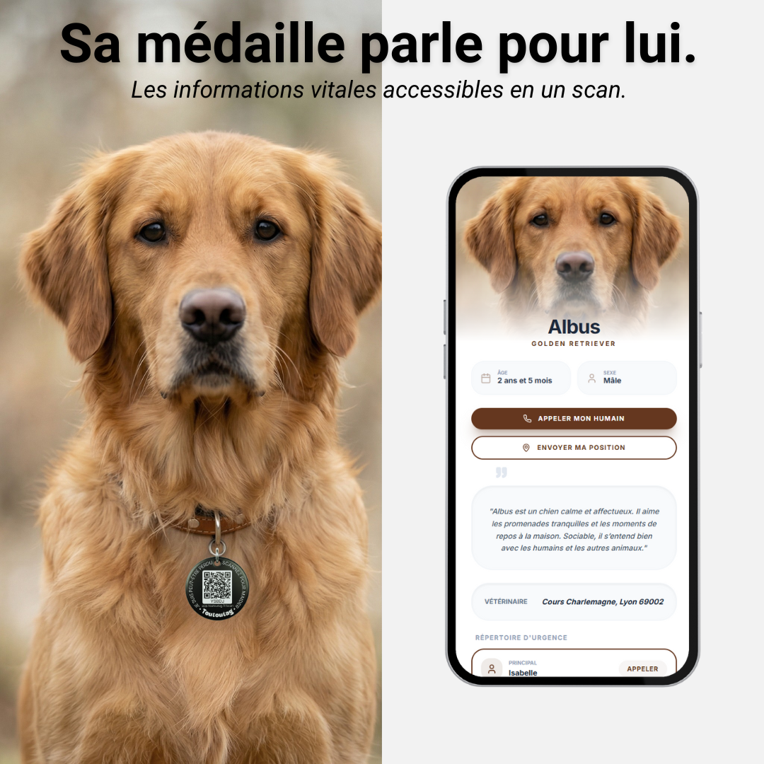 Médaille connectée Toutoutag