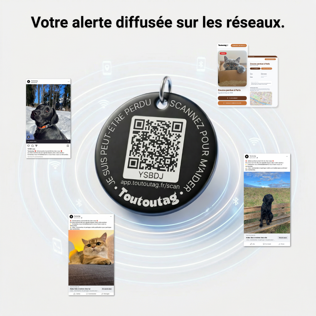Médaille connectée Toutoutag