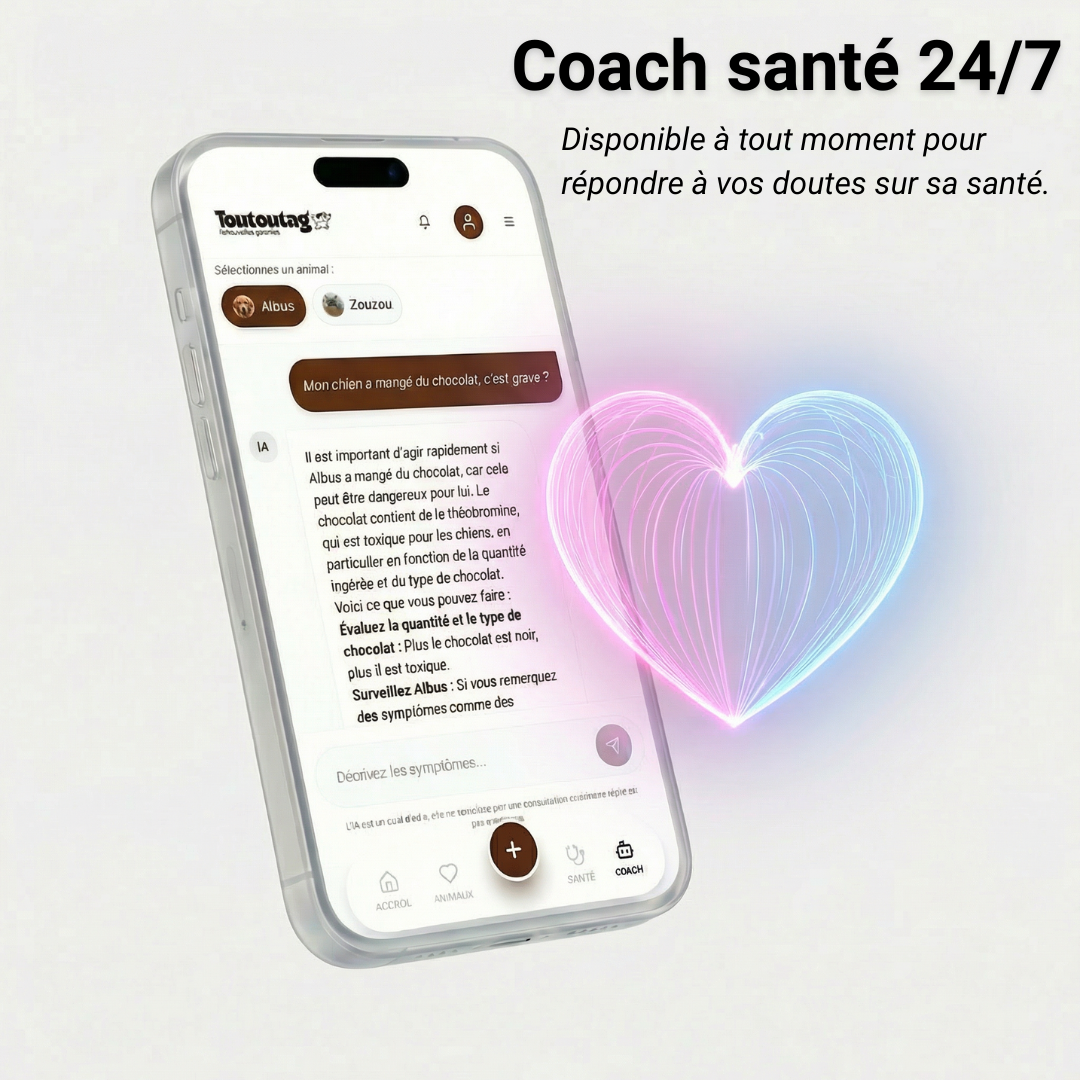 Médaille connectée Toutoutag