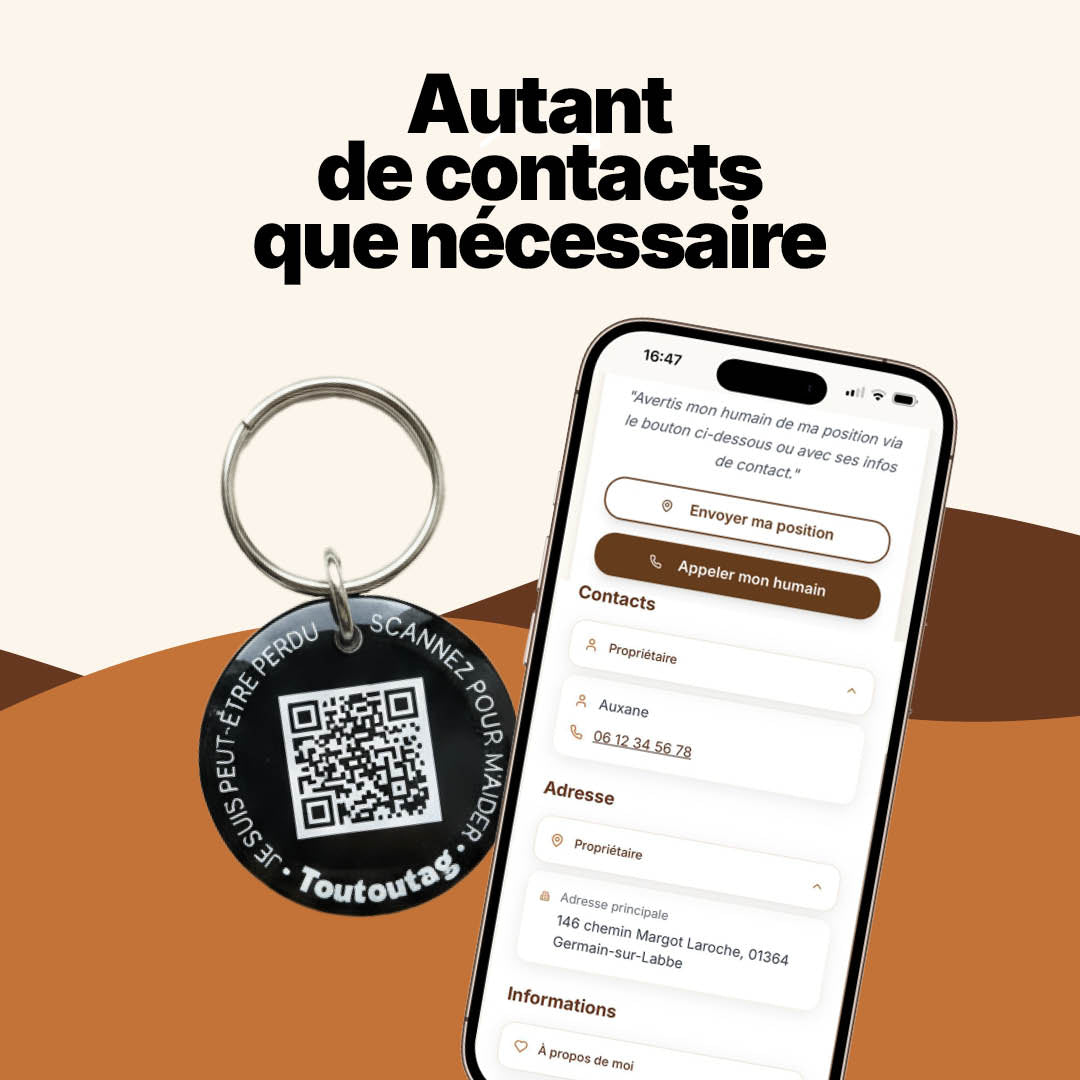 Médaille intelligente Toutoutag