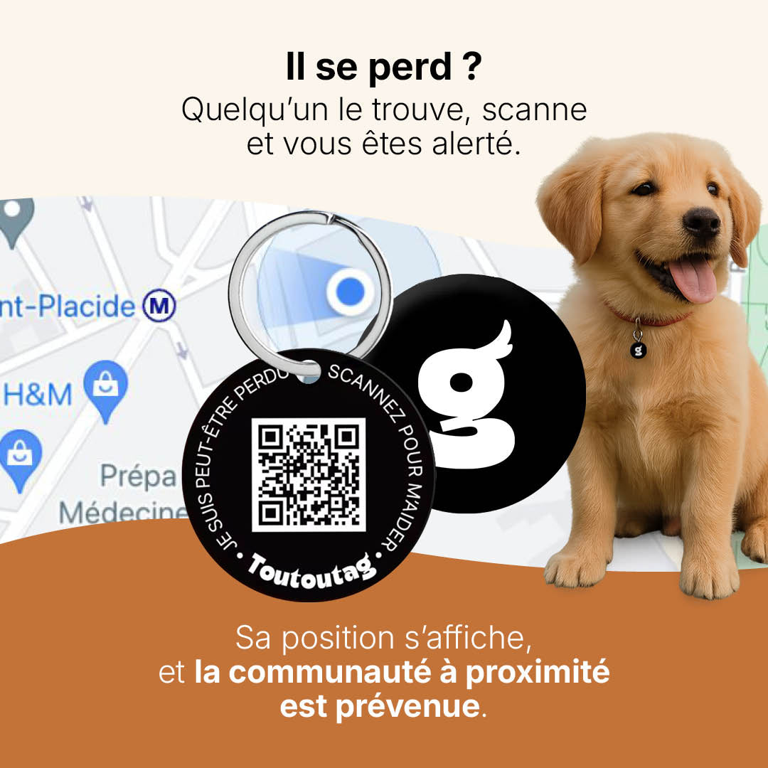 Médaille intelligente Toutoutag
