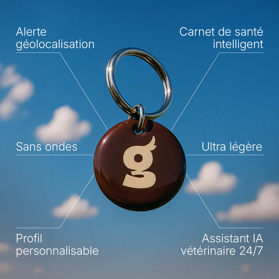 Médaille intelligente Toutoutag